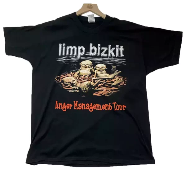 Limp bizkit anger management tour tee
